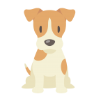 —Pngtree—dog cartoon dog various breeds_3784051 —Pngtree—dog cartoon dog various breeds_3784051